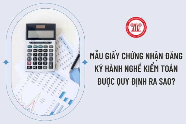 Mẫu Giấy chứng nhận đăng ký hành nghề kiểm toán được quy định ra sao?