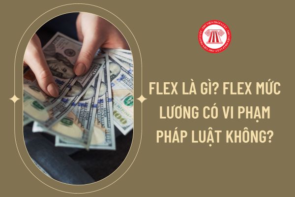 Flex là gì? Flex mức lương có vi phạm pháp luật không?