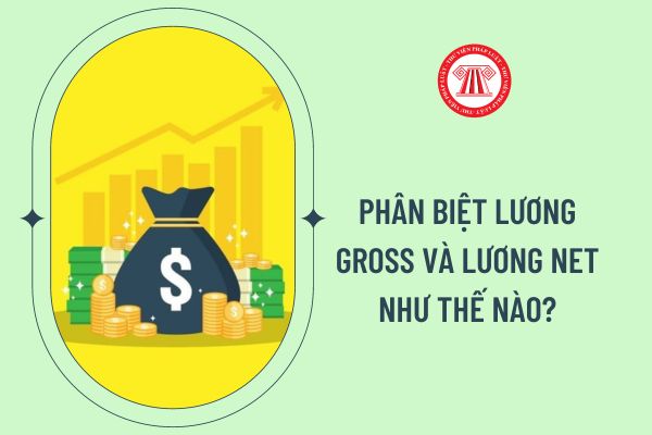 Phân biệt lương gross và lương net như thế nào?