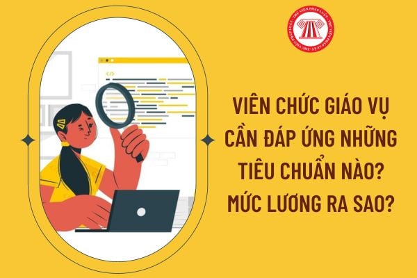 Viên chức giáo vụ cần đáp ứng những tiêu chuẩn nào? Mức lương ra sao?