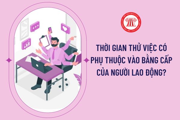 Thời gian thử việc có phụ thuộc vào bằng cấp của người lao động?