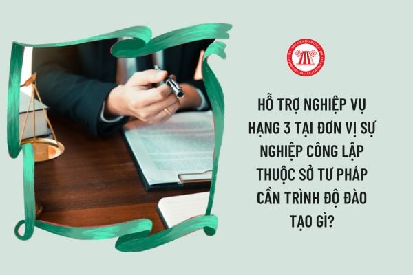 Hỗ trợ nghiệp vụ hạng 3 tại đơn vị sự nghiệp công lập thuộc Sở Tư pháp cần trình độ đào tạo gì?