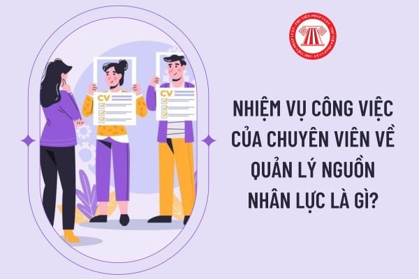 Nhiệm vụ công việc của chuyên viên về quản lý nguồn nhân lực là gì?