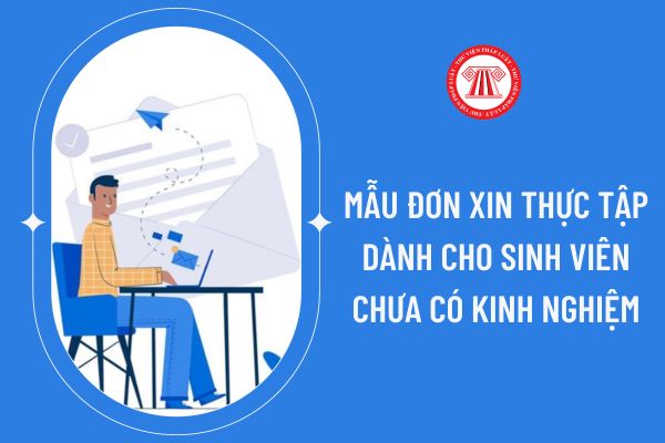 Mẫu đơn xin thực tập dành cho sinh viên chưa có kinh nghiệm