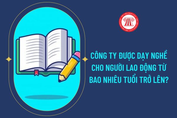 Công ty được dạy nghề cho người lao động từ bao nhiêu tuổi trở lên?