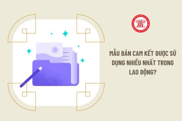 Mẫu bản cam kết được sử dụng nhiều nhất trong lao động?