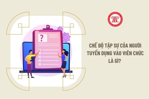 Chế độ tập sự của người tuyển dụng vào viên chức là gì? 