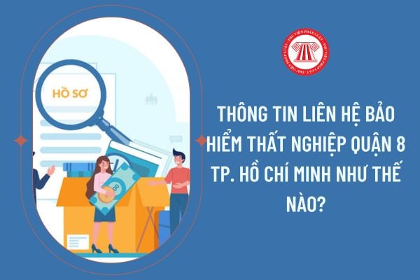 Thông tin liên hệ bảo hiểm thất nghiệp Quận 8 Tp. Hồ Chí Minh như thế nào?