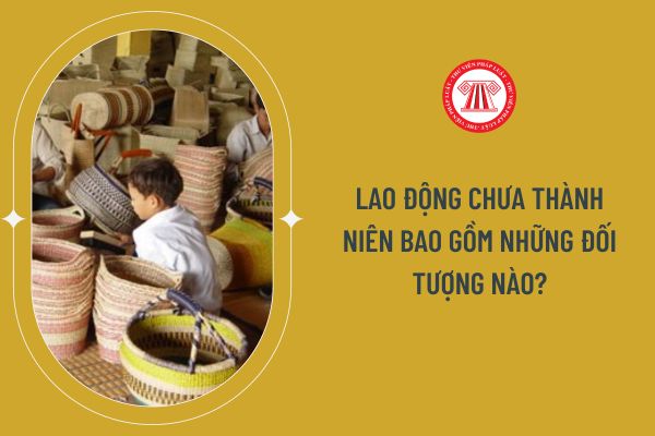 Lao động chưa thành niên bao gồm những đối tượng nào?