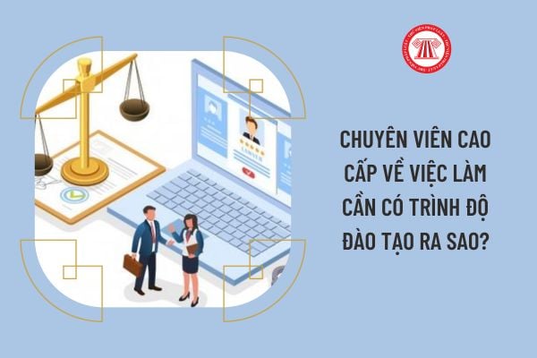 Chuyên viên cao cấp về việc làm cần có trình độ đào tạo ra sao?