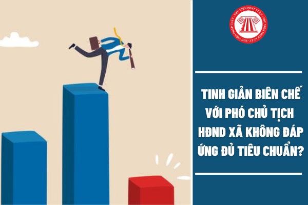 Tinh giản biên chế đối với Phó Chủ tịch Hội đồng nhân dân xã không đáp ứng đủ tiêu chuẩn có đúng không?