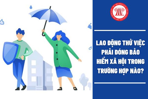 Lao động thử việc phải đóng bảo hiểm xã hội trong trường hợp nào?