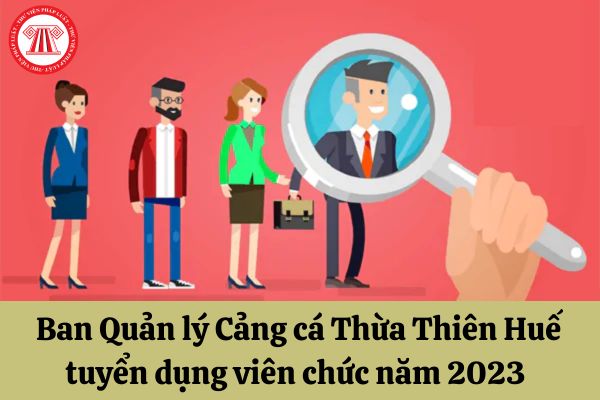 Ban Quản lý Cảng cá Thừa Thiên Huế tuyển dụng viên chức năm 2023 với điều kiện như thế nào?