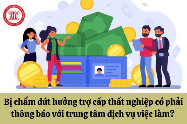 Bị chấm dứt hưởng trợ cấp thất nghiệp do có việc làm có phải thông báo với trung tâm dịch vụ việc làm không? 