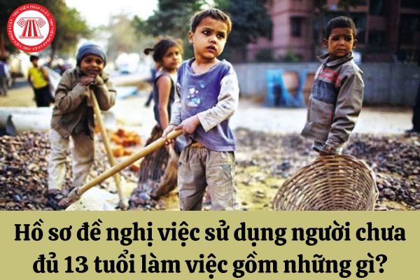 Hồ sơ đề nghị việc sử dụng người chưa đủ 13 tuổi làm việc gồm những gì?