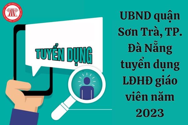 Nhu cầu tuyển dụng hợp đồng lao động của UBND quận Sơn Trà, TP. Đà Nẵng ra sao?