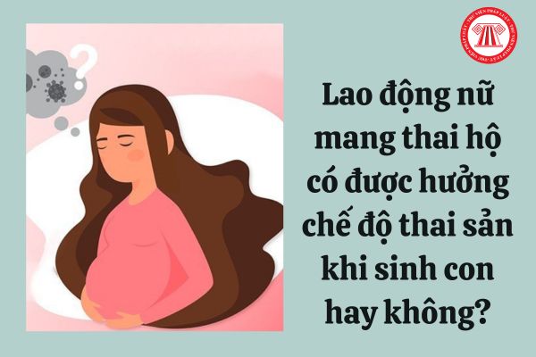 Lao động nữ mang thai hộ có được hưởng chế độ thai sản khi sinh con hay không?