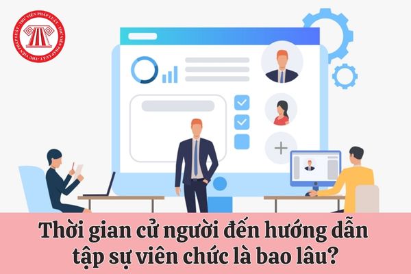 Thời gian cử người đến hướng dẫn tập sự viên chức là bao lâu?