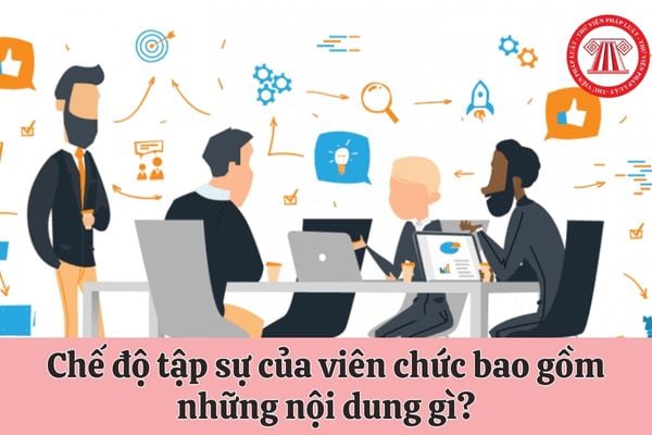 Chế độ tập sự của viên chức bao gồm những nội dung gì?