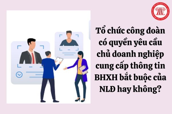 Tổ chức công đoàn có quyền yêu cầu chủ doanh nghiệp cung cấp thông tin bảo hiểm xã hội bắt buộc của người lao động hay không?