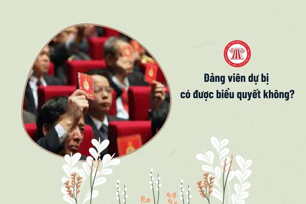 Đảng viên dự bị có được biểu quyết không?