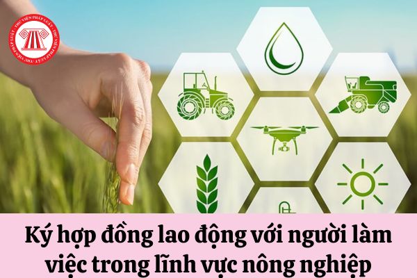 Cần lưu ý gì khi ký hợp đồng lao động với người làm việc trong lĩnh vực nông nghiệp?