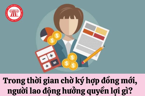 Trong thời gian chờ ký hợp đồng mới, người lao động hưởng quyền lợi gì?