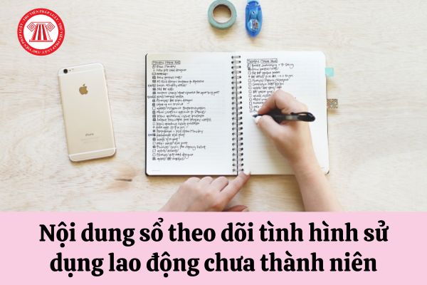 Sổ theo dõi tình hình sử dụng lao động chưa thành niên phải có những thông tin gì?