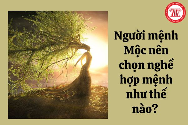 Nhóm Nghề Hành Mộc và Cơ Hội Nghề Nghiệp