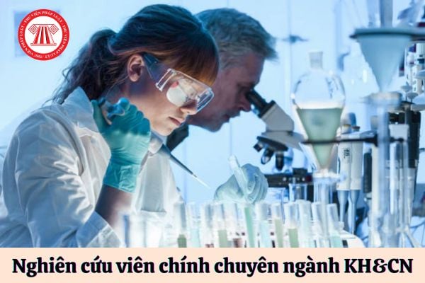 Nghiên cứu viên chính chuyên ngành khoa học và công nghệ phải có chứng chỉ gì?