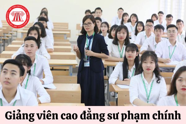 Giảng viên cao đẳng sư phạm