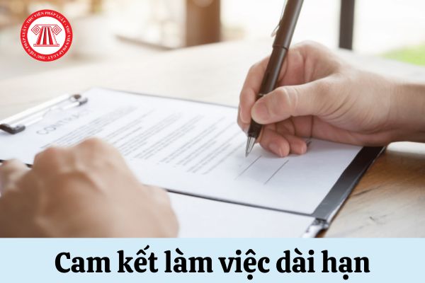 cam kết làm việc dài hạn