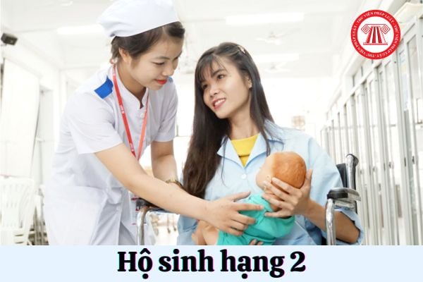 Viên chức hộ sinh hạng 2 phải có trình độ đào tạo, bồi dưỡng ra sao?