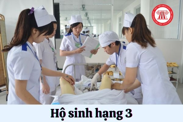 Yêu cầu viên chức hộ sinh hạng 3 phải đáp ứng tiêu chuẩn về trình độ đào tạo, bồi dưỡng ra sao?