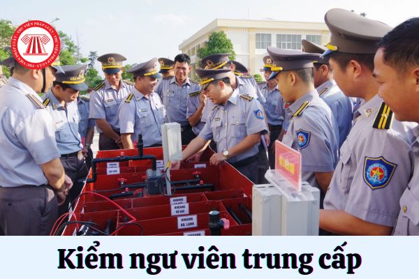 Kiểm ngư viên trung cấp phải đáp ứng tiêu chuẩn về năng lực chuyên môn như thế nào?