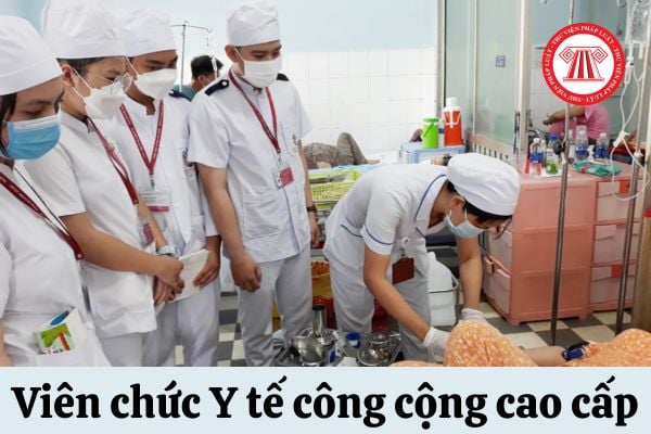 viên chức Y tế công cộng cao cấp