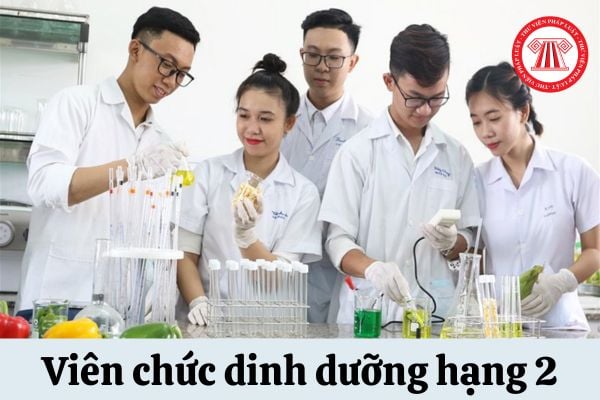 Viên chức dinh dưỡng hạng 2 phải đảm bảo năng lực chuyên môn, nghiệp vụ như thế nào?