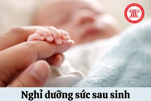 Nghỉ dưỡng sức sau sinh