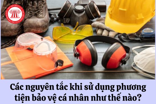 Các nguyên tắc khi sử dụng phương tiện bảo vệ cá nhân như thế nào?