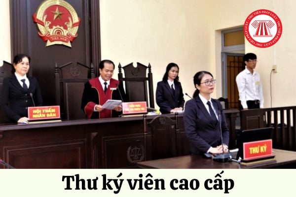 Thư ký viên cao cấp