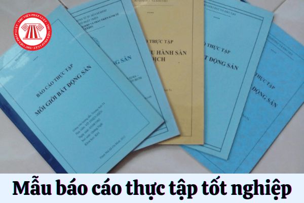 Mẫu báo cáo thực tập tốt nghiệp