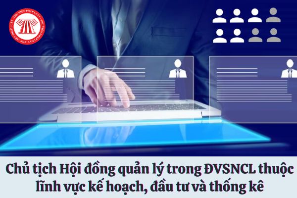 Chủ tịch Hội đồng quản lý trong ĐVSNCL thuộc lĩnh vực kế hoạch, đầu tư và thống kê