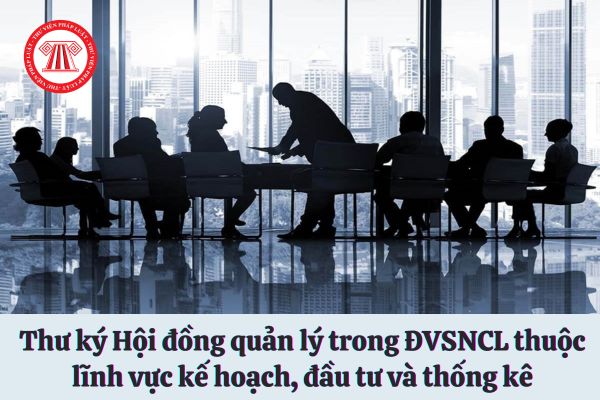 Tiến hành việc xem xét thay thế Thư ký Hội đồng quản lý trong ĐVSNCL thuộc lĩnh vực kế hoạch, đầu tư và thống kê vào thời điểm nào?