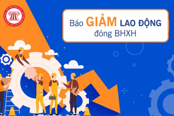 báo giảm lao động