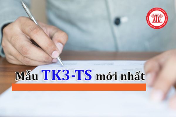Mẫu TK3-TS
