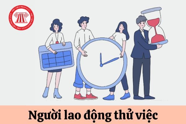 Người lao động thử việc nhận mức lương thấp nhất là bao nhiêu?