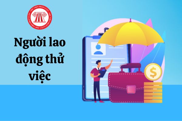 Lao động thử việc nghỉ ngang phải bồi thường chi phí đào tạo trong trường hợp nào?