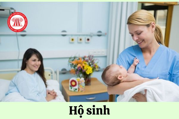 Thời gian thực hành để cấp giấy phép hành nghề khám chữa bệnh đối với chức danh hộ sinh là bao lâu?