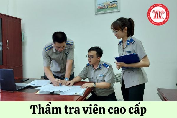 Thẩm tra viên cao cấp