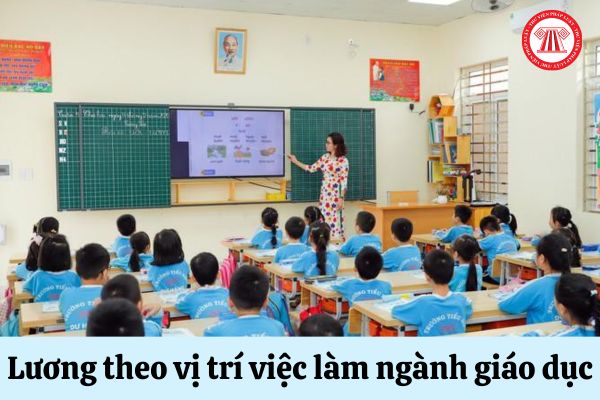 Mức lương theo vị trí việc làm ngành giáo dục năm 2024 sẽ thay đổi như thế nào?